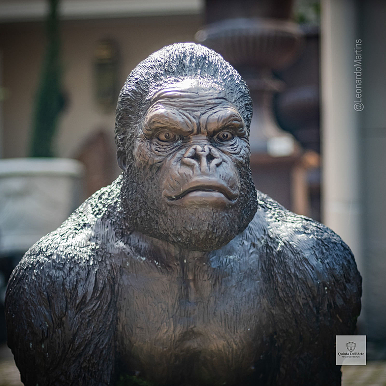 imagem do produto Escultura Gorila de Bronze Andando 105cm - EBZ710