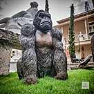 imagem do produto Escultura Gorila de Bronze Sentado 90cm - EBZ709 Eleg�ncia e For�a