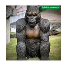 imagem do produto Escultura Gorila de Bronze Sentado 90cm - EBZ709