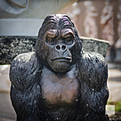 imagem do produto Escultura Gorila de Bronze Sentado 90cm - EBZ709