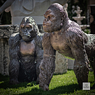 imagem do produto Escultura Gorila de Bronze Sentado 90cm - EBZ709