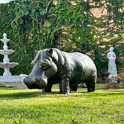 imagem de Escultura Hipopótamo em Bronze 45x110cm EBZ560 Presença e Robustez
