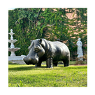 imagem do produto Escultura Hipop�tamo em Bronze 45x110cm EBZ560 Presen�a e Robustez