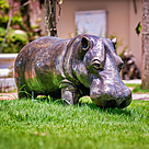 imagem do produto Escultura Hipop�tamo em Bronze 45x110cm EBZ560 Presen�a e Robustez