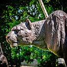 imagem do produto Escultura Impulso Felino em Bronze 134cm - EBZ718 Movimento e Eleg�ncia