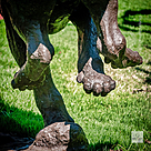 imagem do produto Escultura Impulso Felino em Bronze 134cm - EBZ718 Movimento e Eleg�ncia