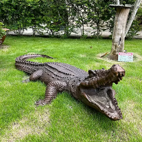 imagem de Escultura Jacaré em Bronze 180cm EBZ615 Imponência e Realismo