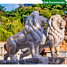 imagem do produto Escultura Le�o da Montanha Branco 140cm EMP270 For�a e Eleg�ncia Natural
