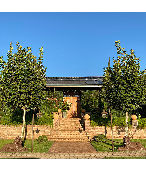 imagem de Escultura Leo de Ferro Fundido 73cm - VRF029E