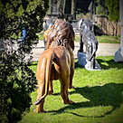 imagem do produto Escultura Le�o Pra�a da Republica Paris em Bronze 125cm - EBZ392