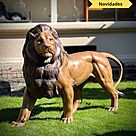 imagem do produto Escultura Le�o Pra�a da Republica Paris em Bronze 125cm - EBZ392