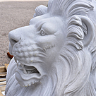 imagem do produto Escultura Le�es do Pal�cio Monroe 145cm EMP489 Impon�ncia e Tradi��o