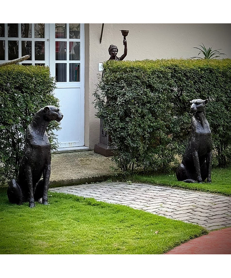 imagem do produto Escultura Par de Guepardos em Bronze 100cm - EBZ719
