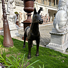 imagem do produto Escultura Potro de Bronze 120cm - VRBZ331