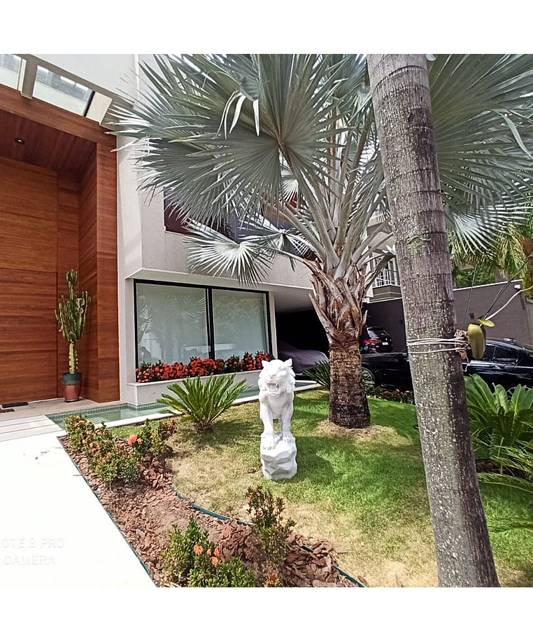 imagem do produto Escultura Tigre M�rmore Branco 120cm - EMP503D