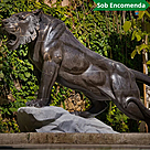 imagem do produto Escultura Tigre M�rmore Negro 120cm  - EMP508E Paisagismo de Luxo
