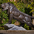 imagem do produto Escultura Tigre M�rmore Negro 120cm  - EMP508E Paisagismo de Luxo