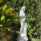 imagem do produto Escultura V�nus Capitolina 160cm - EMP477 Eleg�ncia Cl�ssica em Destaque