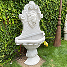 imagem do produto Fonte Cara de Le�o 170cm - FML077