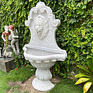 imagem do produto Fonte Cara de Le�o 170cm - FML077