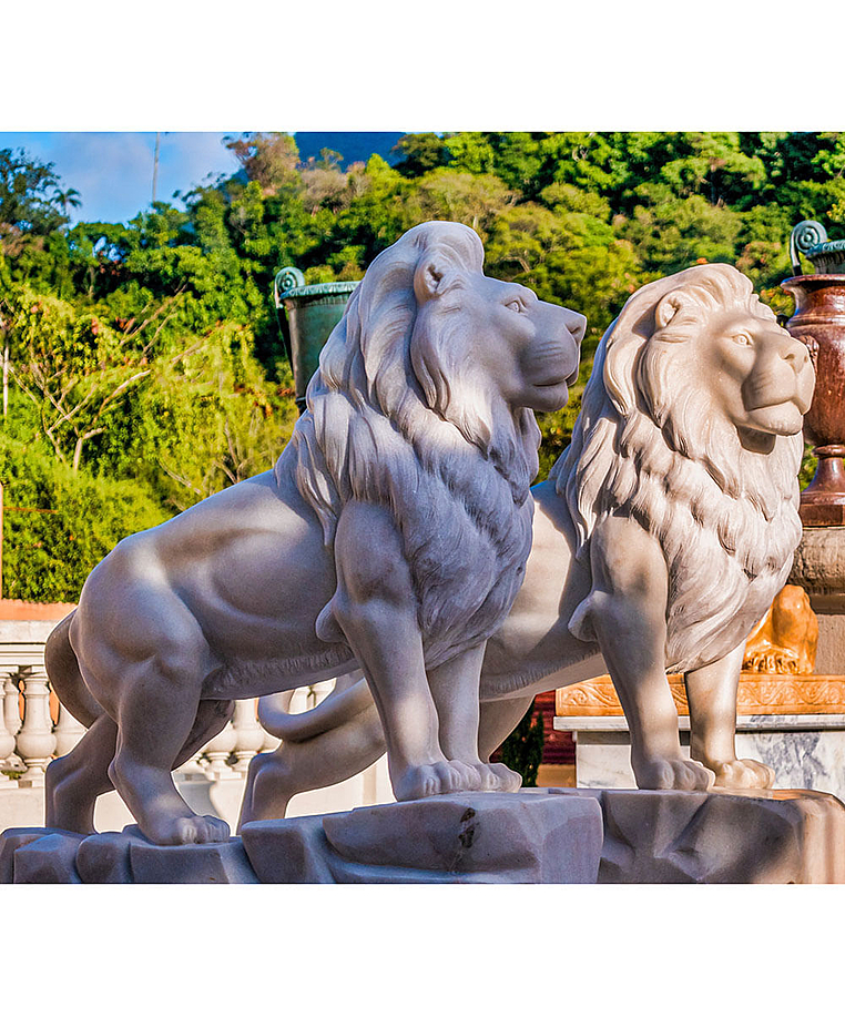 imagem do produto Le�o da Montanha Branco 140cm - EMP270