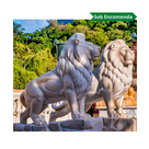 imagem do produto Le�o da Montanha Branco 140cm - EMP270