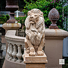 imagem do produto Le�es do Pal�cio Laranjeiras 160cm - EMP491