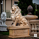 imagem do produto Le�es do Pal�cio Laranjeiras 160cm - EMP491