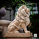 imagem do produto Le�es do Pal�cio Laranjeiras 160cm - EMP491