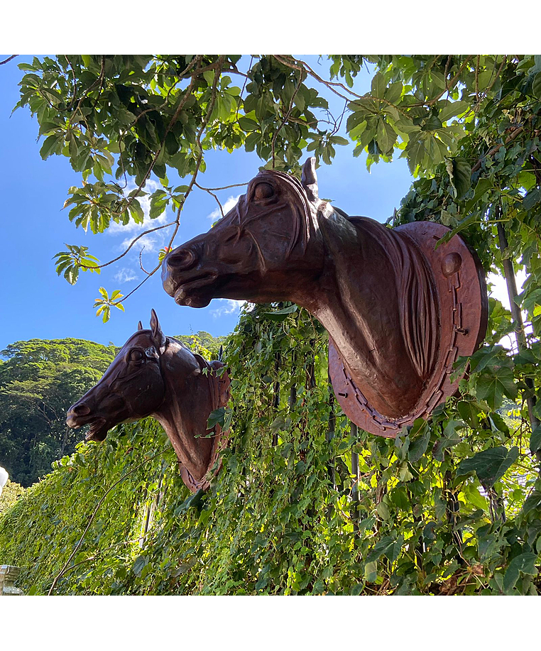 imagem do produto Par Cabe�as de Cavalo Jockey em Ferro Fundido 73cm VRF271 Eleg�ncia Cl�ssica