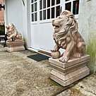 imagem do produto Par de Esculturas de Le�es em M�rmore Rosa 100cm - EMP446