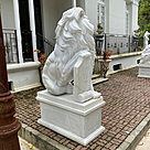 imagem do produto Par de Le�o com Escudo 200cm - EMP463