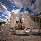 imagem do produto Par de Le�es em M�rmore Branco 150cm - EMP546