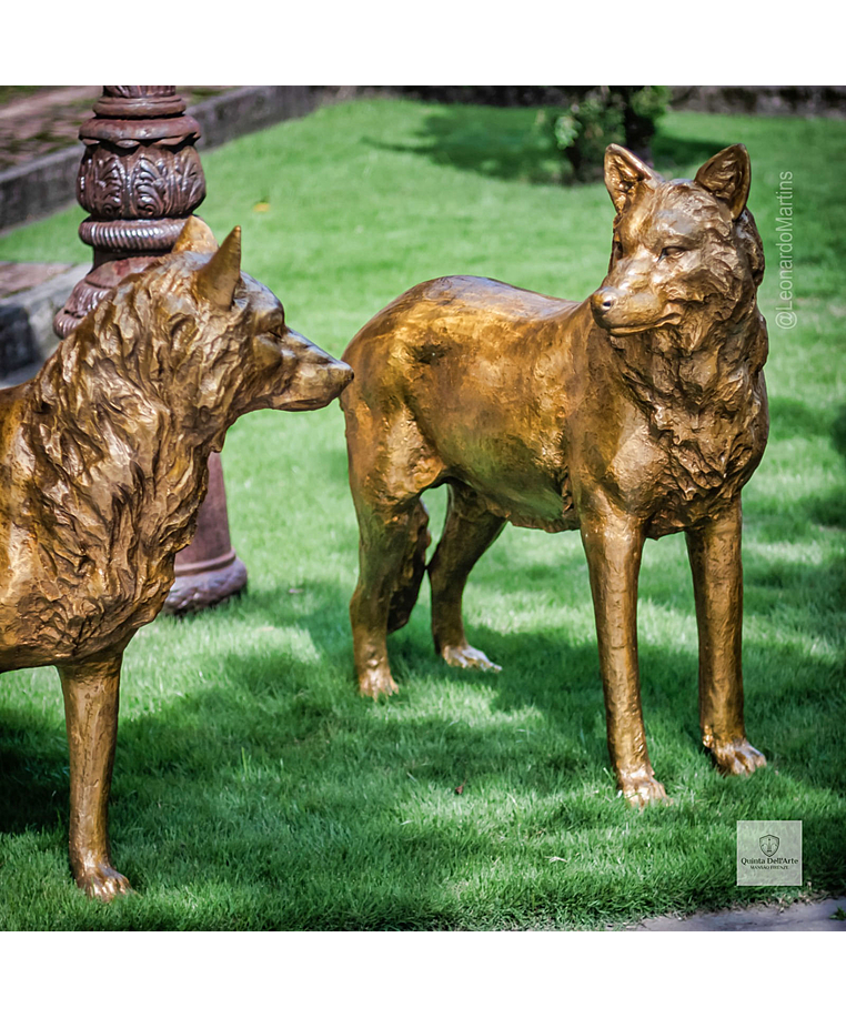 imagem do produto Par de Lobos em Bronze 104cm EBZ702 For�a e Esp�rito Selvagem