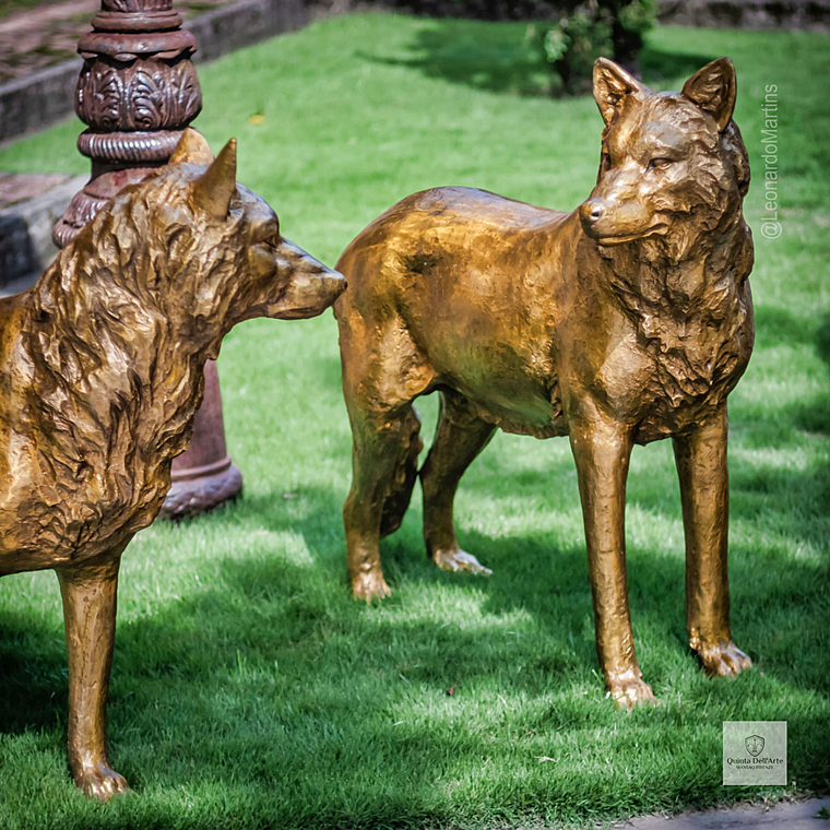 imagem do produto Par de Lobos Escultura em Bronze 104cm EBZ702