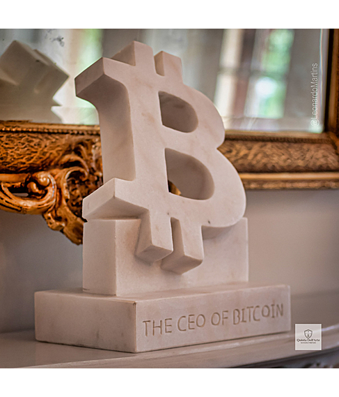 imagem de Placa Bitcoin 40cm - VRMP363