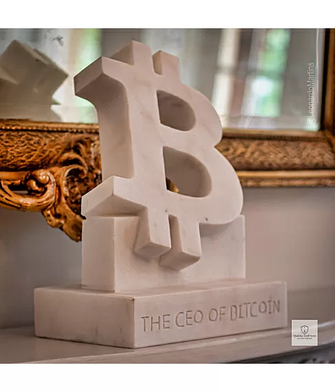 imagem de Placa Bitcoin 40cm - VRMP363