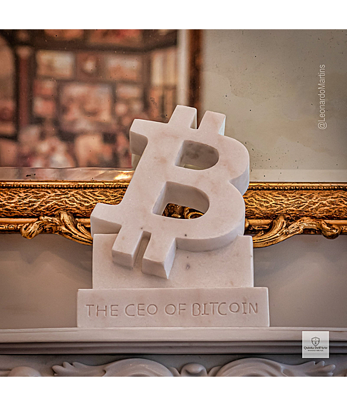 imagem de Placa Bitcoin 40cm - VRMP363