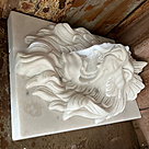 imagem do produto Placa Cara de Le�o em M�more 36cm - VRMP325