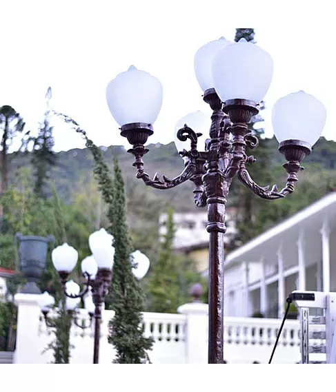 imagem de Poste Florença com 5 Braços 330cm VRF283 Para Iluminação de Jardins e Áreas Externas 