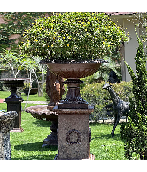 imagem de Vaso Barcelona 80cm - VF131