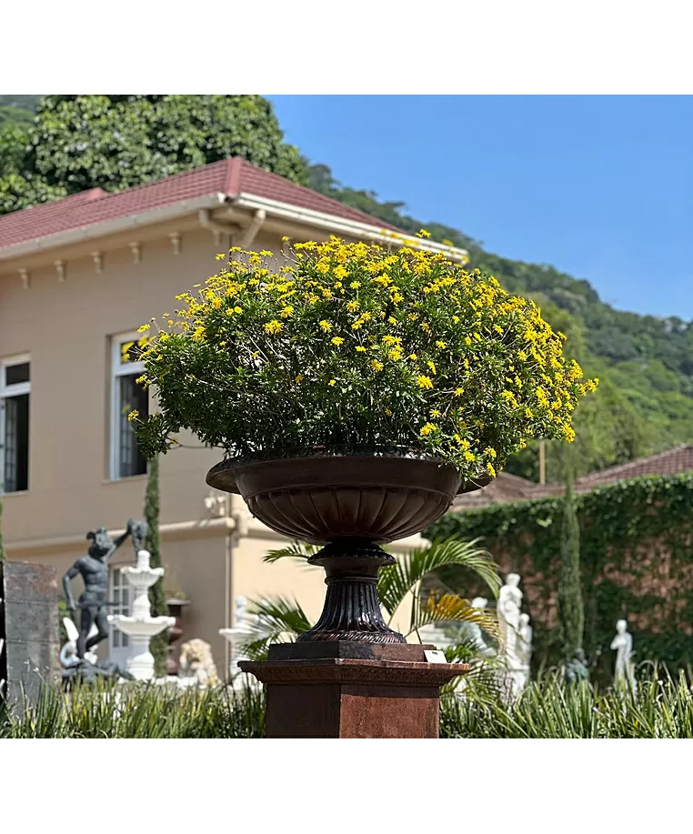 imagem de Vaso Barcelona 80cm - VF131