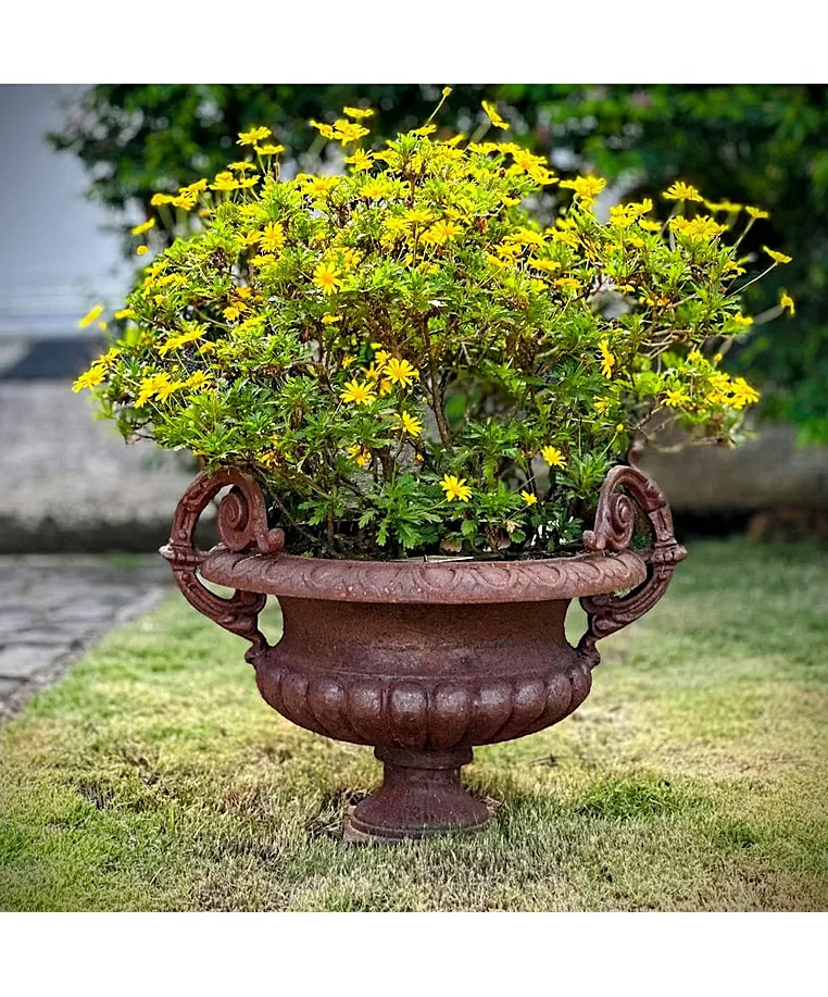 imagem de Vaso Decorativo de Ferro Fundido Pequeno com Alça 45cm - VF038 Destaque no Paisagismo
