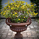 imagem do produto Vaso Decorativo de Ferro Fundido Pequeno com Al�a 45cm - VF038 Destaque no Paisagismo