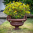 imagem do produto Vaso Decorativo de Ferro Fundido Pequeno com Al�a 45cm - VF038 Destaque no Paisagismo